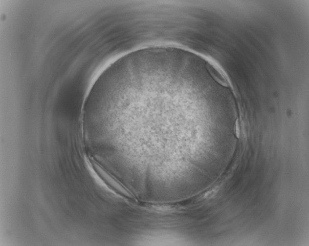 X0000055520911200509022120