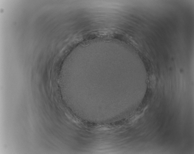 X0000055520913200509022119