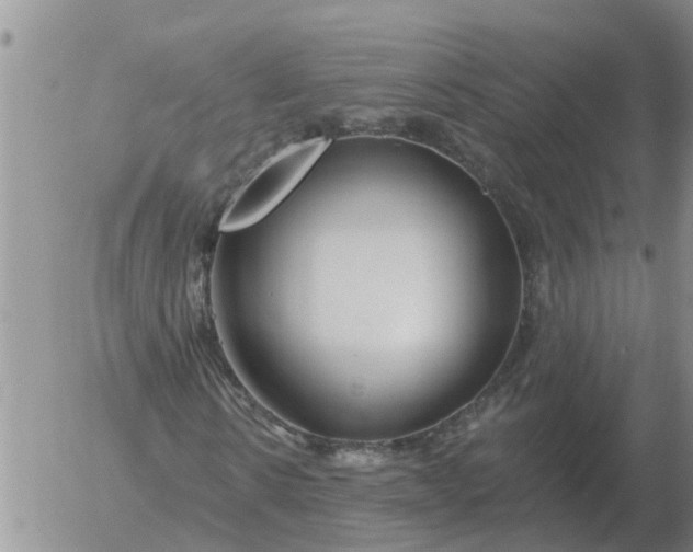 X0000055520914200509022120