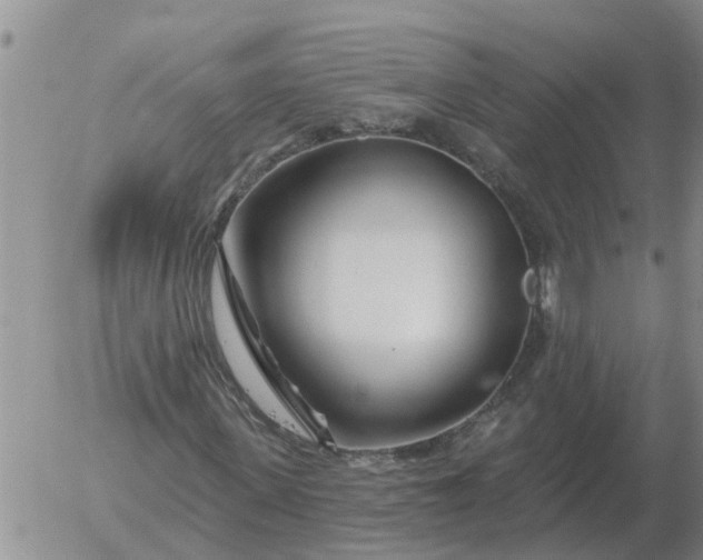 X0000055520915200509022120