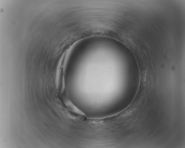 X0000055520916200509022120