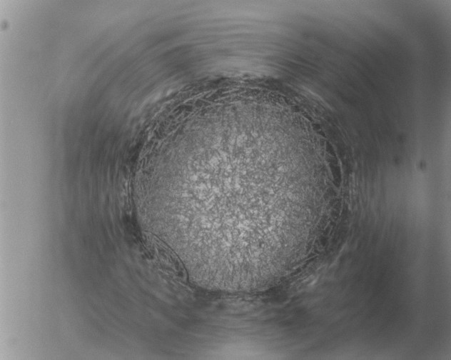 X0000055520917200509022120