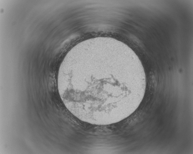 X0000055520918200509022120