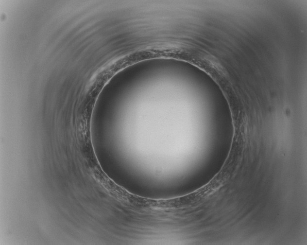 X0000055520920200509022120