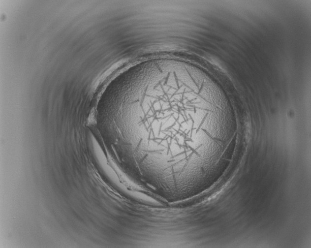 X0000055520921200509022120