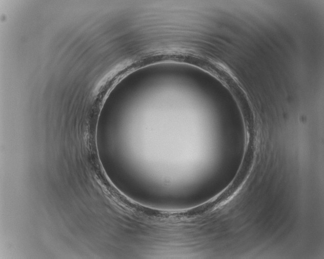 X0000055520922200509022120