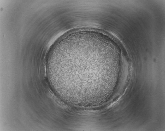 X0000055520925200509022120