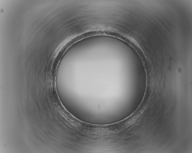 X0000055520927200509022120