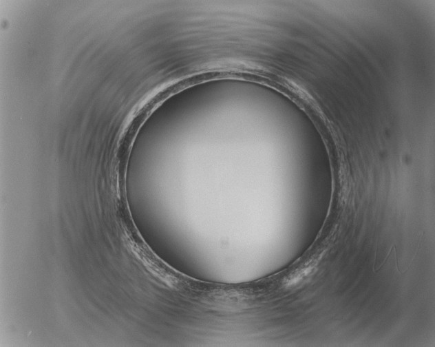 X0000055520931200509022120