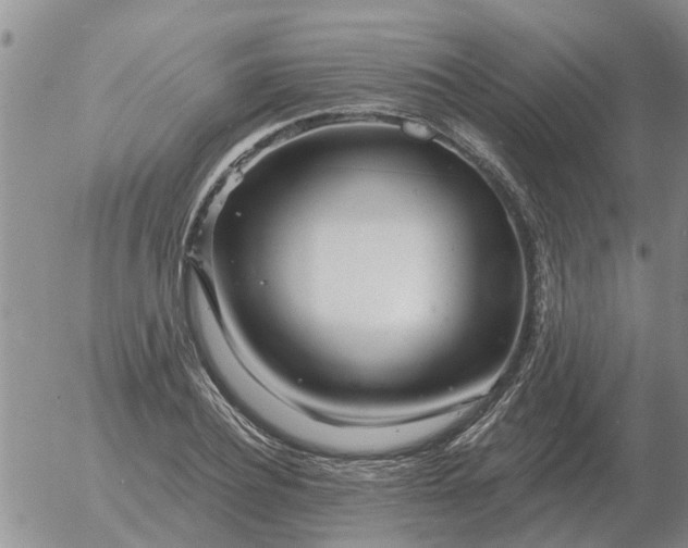 X0000055520932200509022120