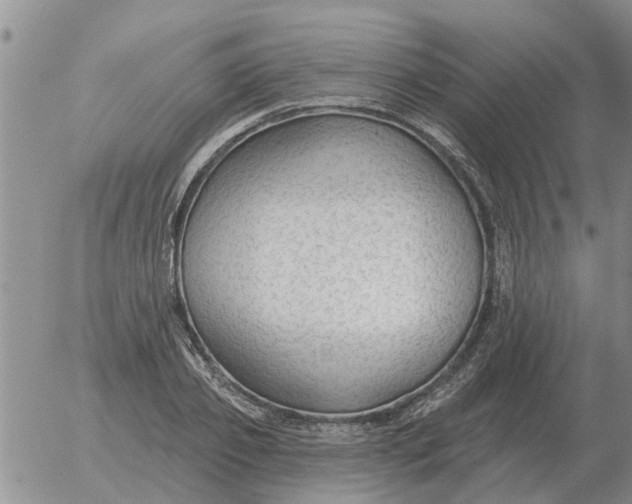 X0000055520933200509022120