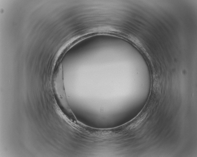 X0000055520939200509022120