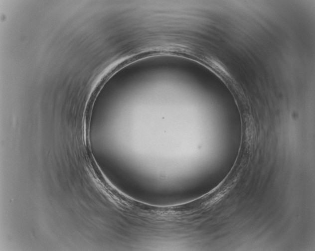 X0000055520940200509022120