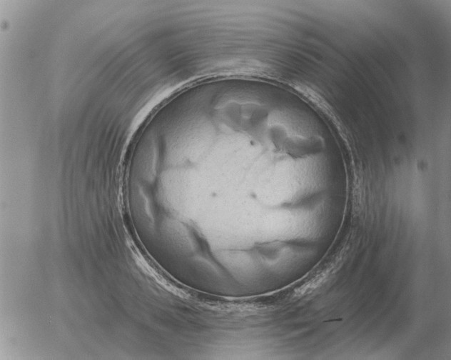 X0000055520941200509022120