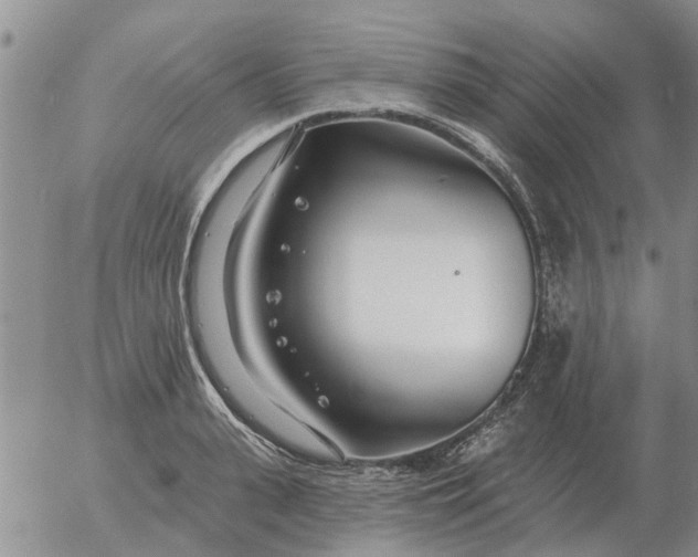 X0000055520943200509022120