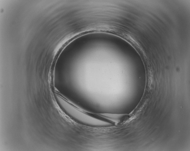 X0000055520944200509022120