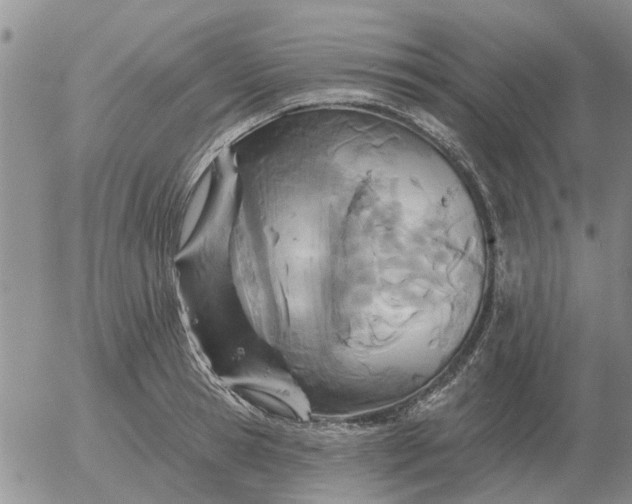 X0000055520945200509022120