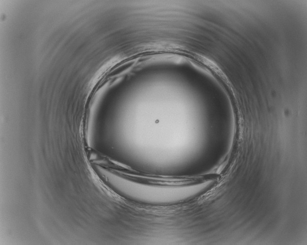 X0000055520946200509022120