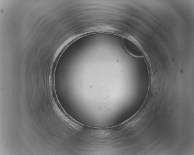 X0000055520947200509022120