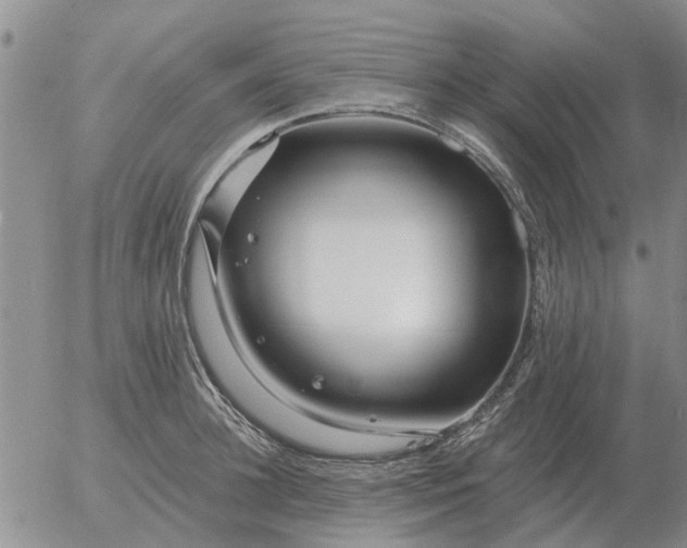 X0000055520948200509022120