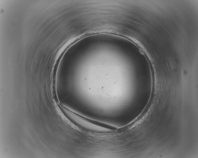 X0000055520949200509022120