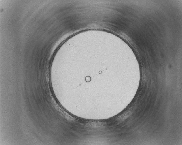 X0000055520950200509022120