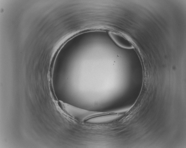 X0000055520951200509022120