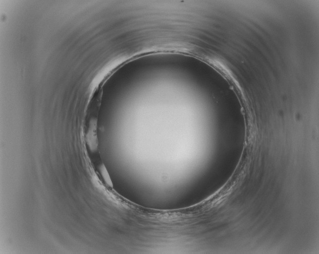 X0000055520952200509022120