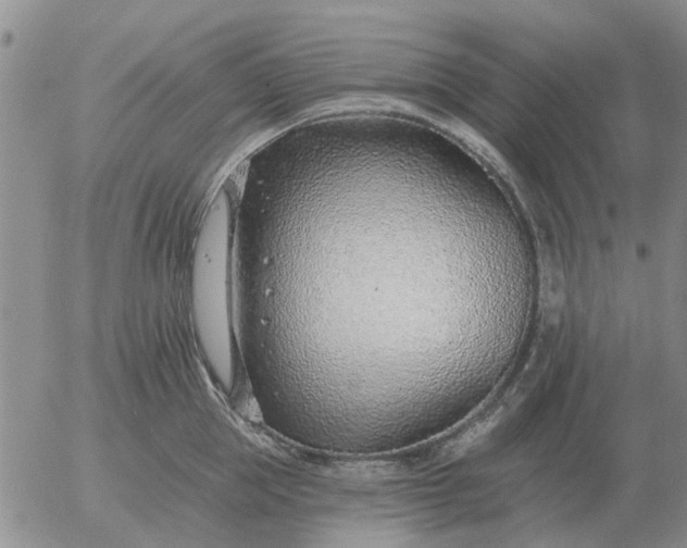 X0000055520953200509022120