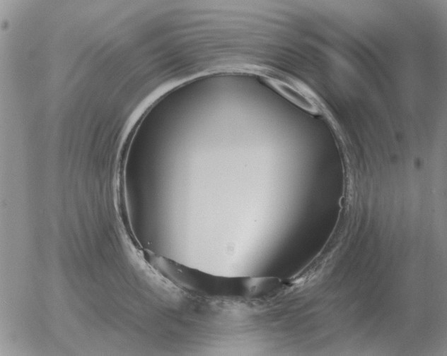 X0000055520955200509022120