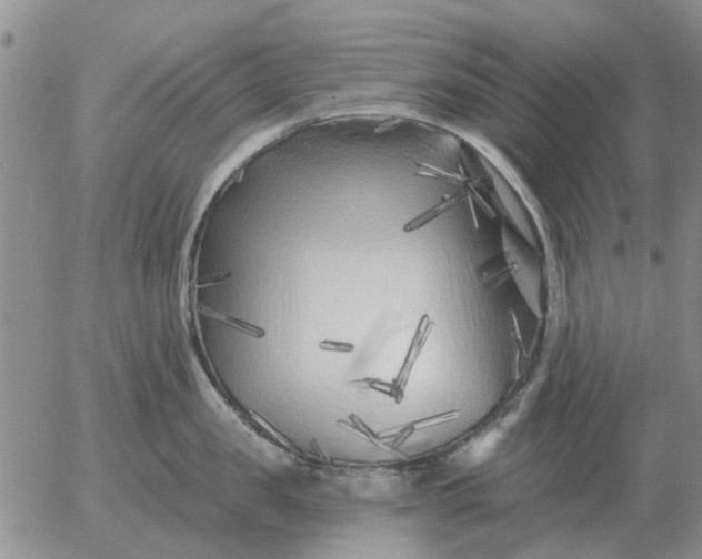 X0000055520957200509022120