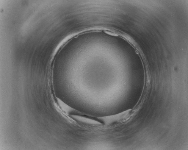 X0000055520958200509022120