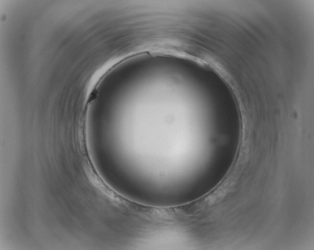 X0000055520960200509022120