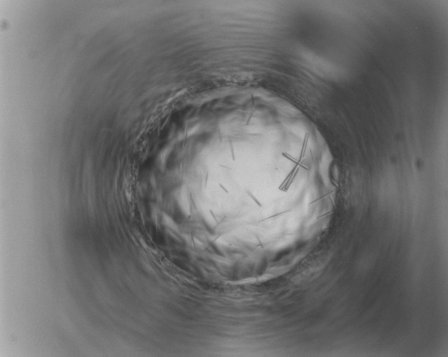 X0000055520962200509022119