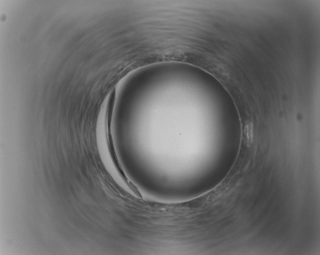 X0000055520963200509022119