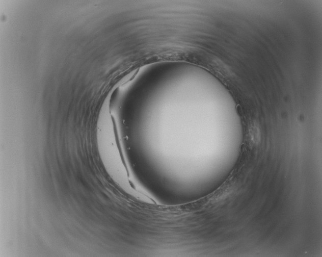 X0000055520964200509022119