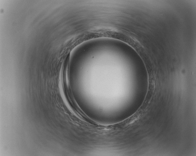 X0000055520965200509022119