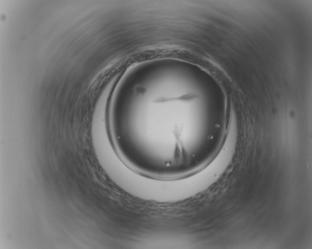 X0000055520967200509022119