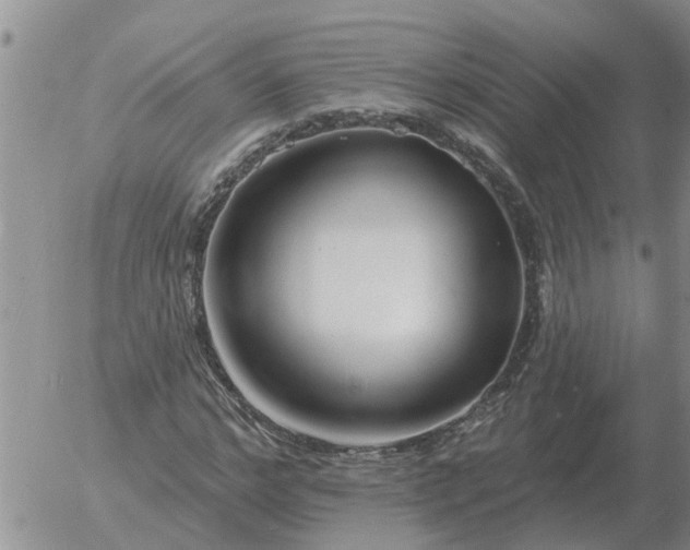 X0000055520968200509022119