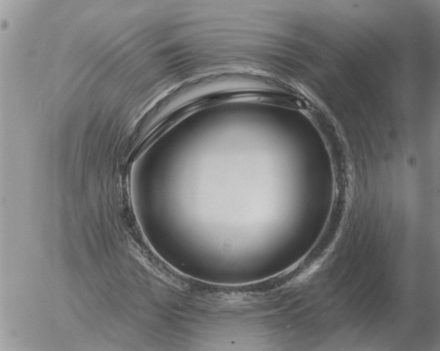 X0000055520969200509022119