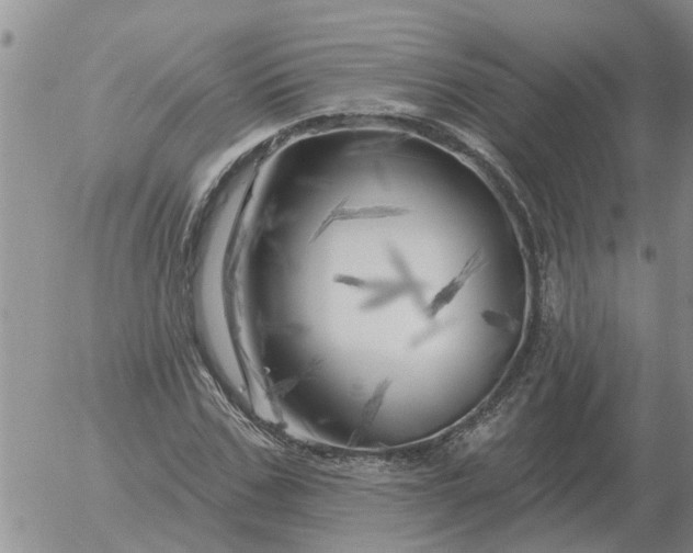 X0000055520971200509022119