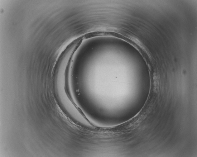 X0000055520972200509022119