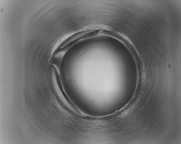 X0000055520973200509022119