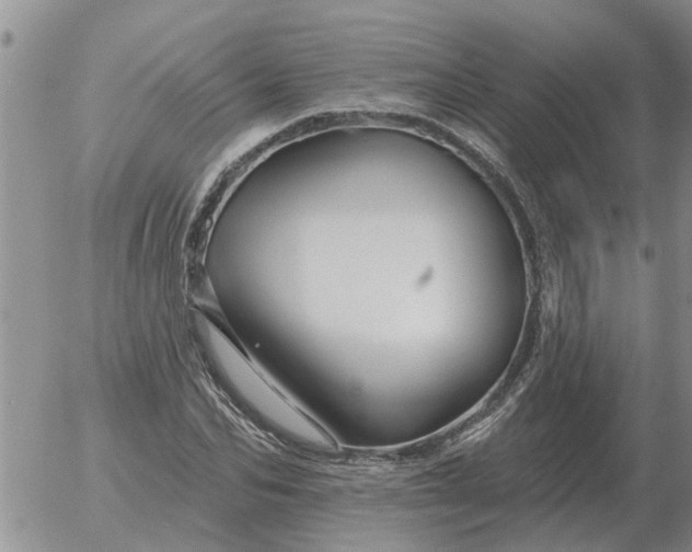 X0000055520974200509022119