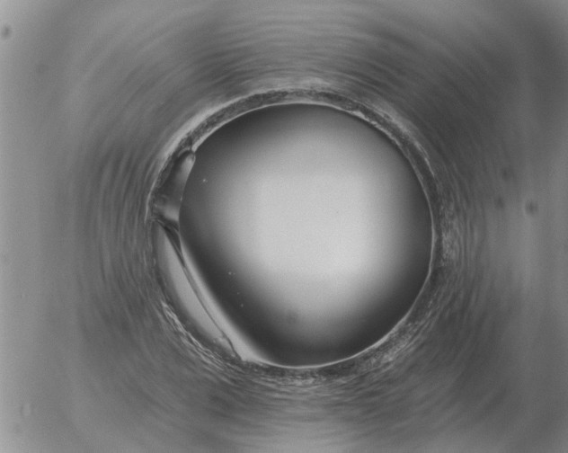 X0000055520975200509022119