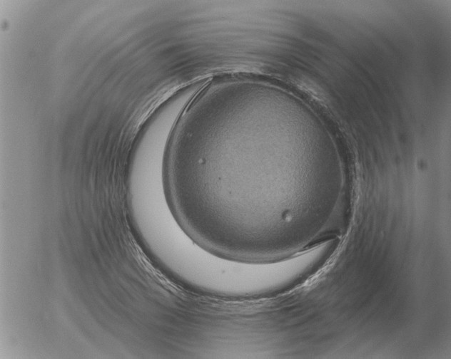 X0000055520977200509022119