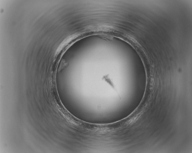 X0000055520978200509022119