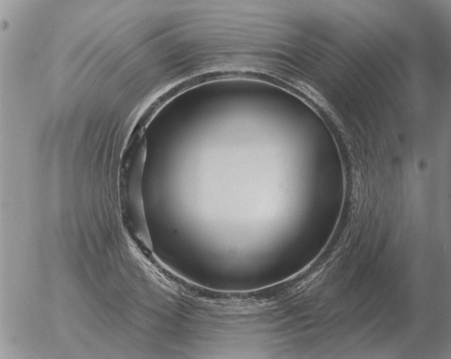 X0000055520980200509022119