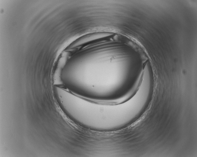 X0000055520981200509022119