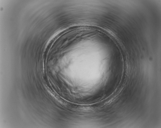 X0000055520982200509022119